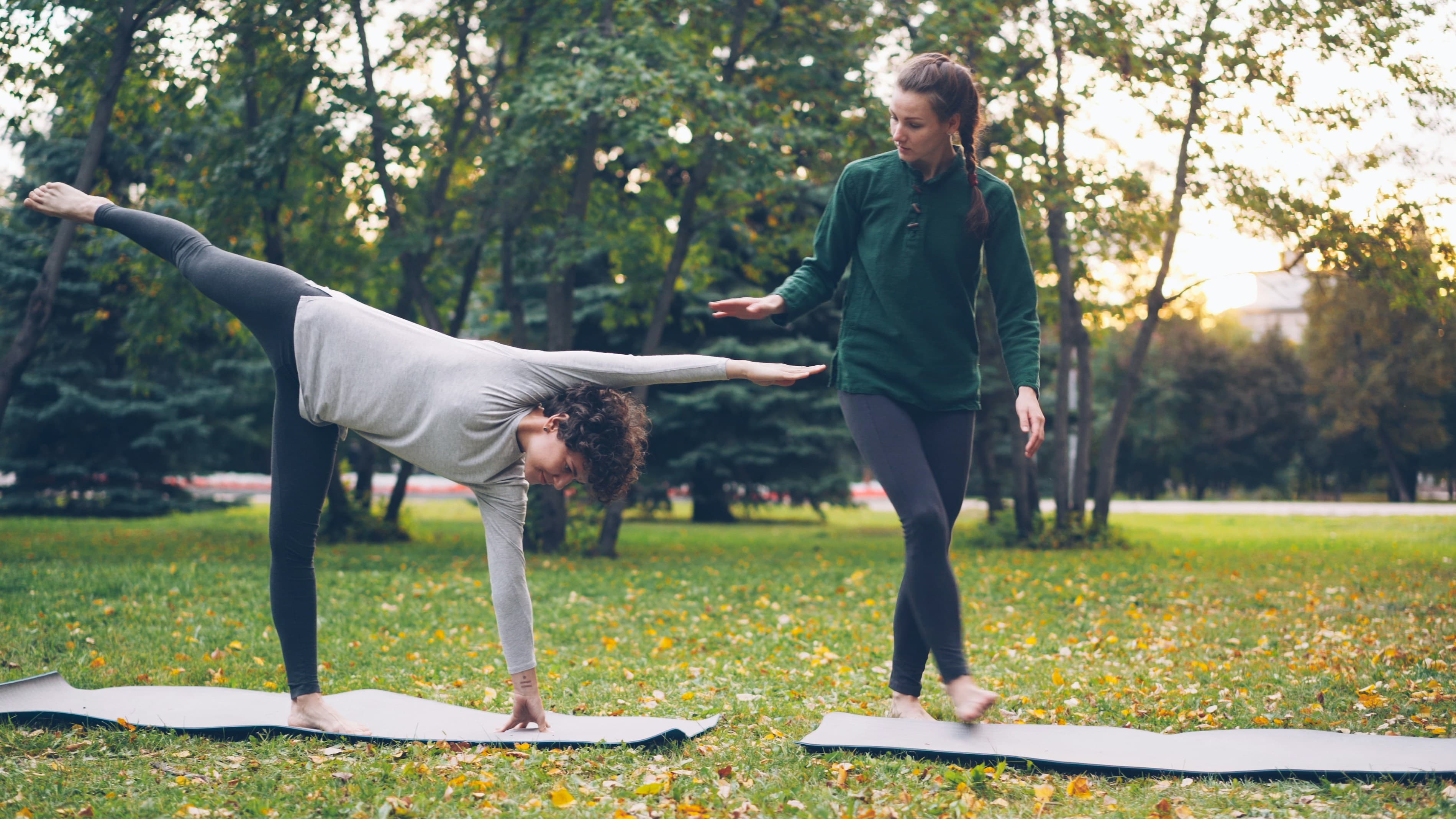 Yoga for Beginners at Home Weight Loss, Flexibility and Daily Wellness Guide
