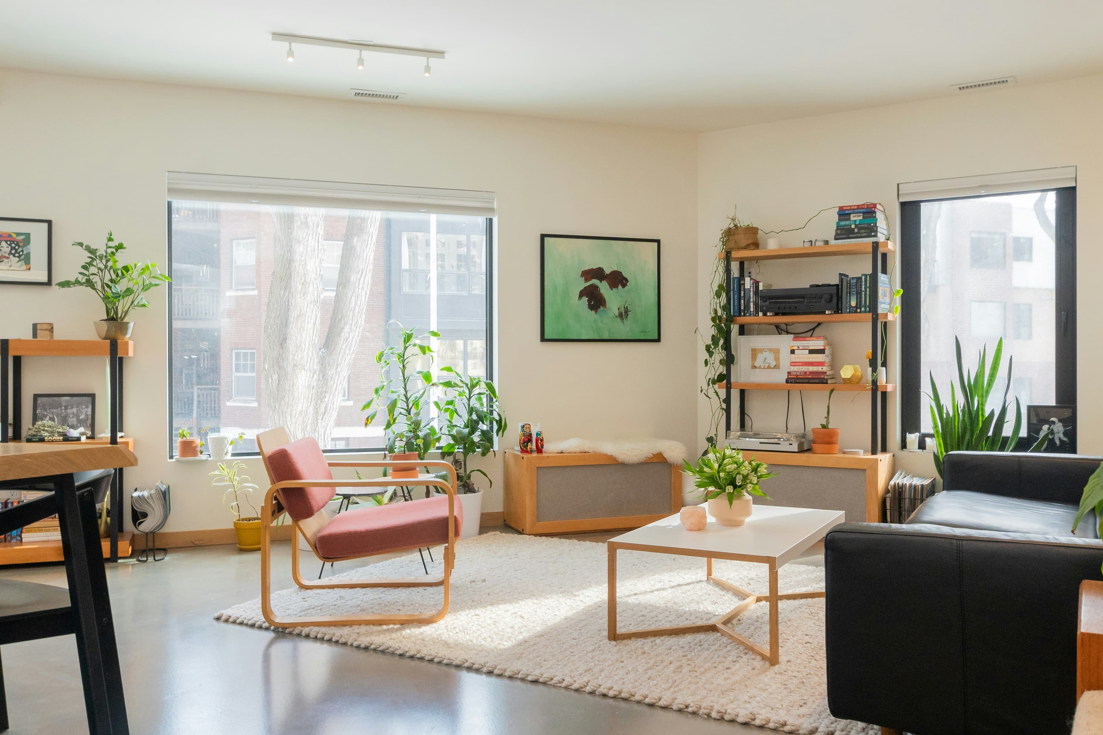 Living & Decluttering